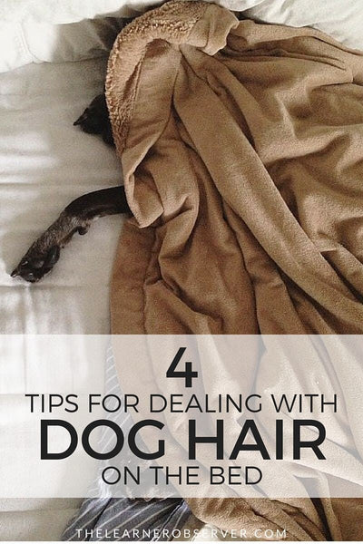 How To Get Dog Hair Off Bedding?