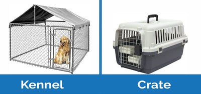 Dog Crate Vs Dog Kennel: What’s The Difference In 2023?