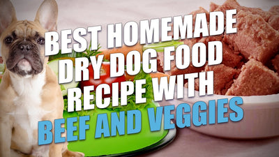 How To Make Dry Dog Food At Home?
