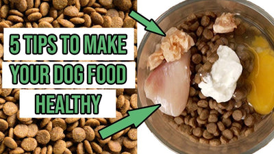 How To Make Dry Dog Food Better?