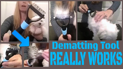 How To Use A Dematting Comb On A Cat?