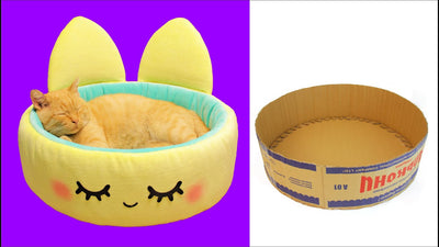 How To Make A Cat Bed Easy?