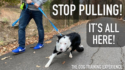 How To Stop A Dog From Pulling On Leash?
