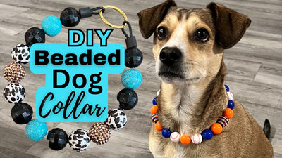 How To Make Beaded Dog Collars?