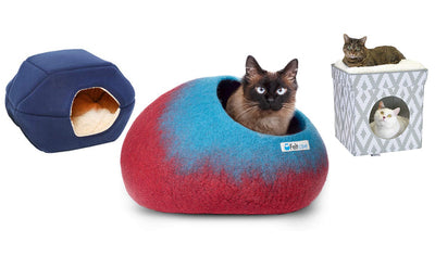Cat Bed Vs Cat Cave: What You Need To Know Before Buying
