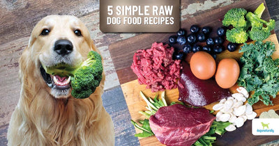 How To Make Your Own Raw Dog Food?