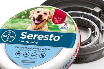 Are Seresto Dog Collars Safe?