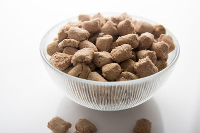 Is Freeze Dried Raw Food Safe For Dogs?