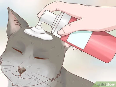 How To Wash A Cat Without Cat Shampoo?