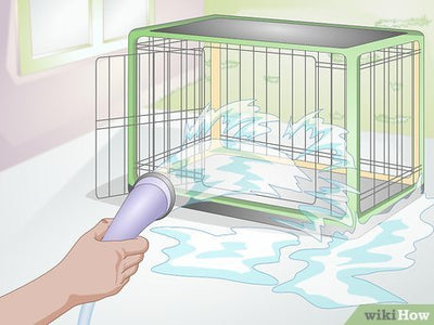 How To Clean A Dog Crate?