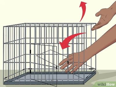 How To Fold Up Dog Crate?