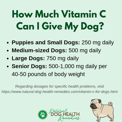 How Much Vitamin C Can I Give My Dog?