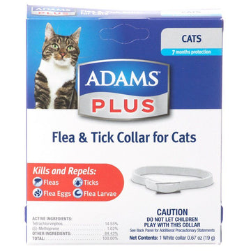 Cat Flea and Tick