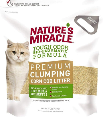 Cat Litter and Accessories